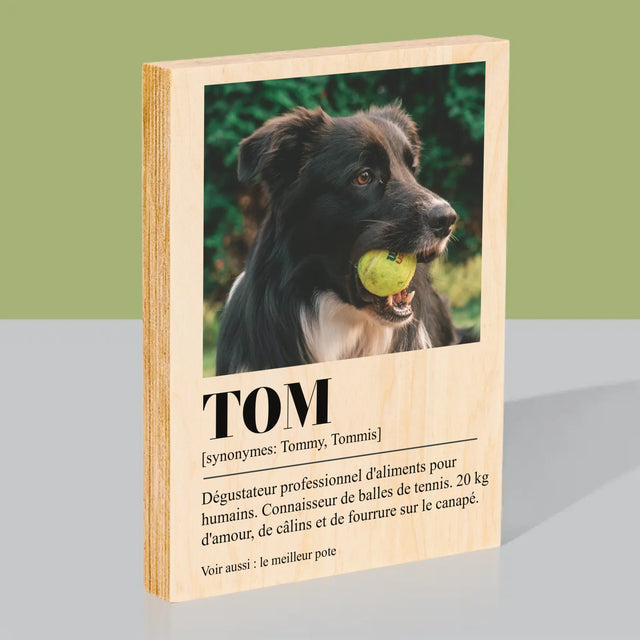 La Photo Et Un Texte: Animal, Définition - Impression Sur Bois 