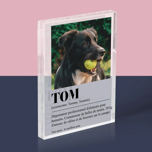 La Photo Et Un Texte: Animal, Définition - Bloc Acrylique 