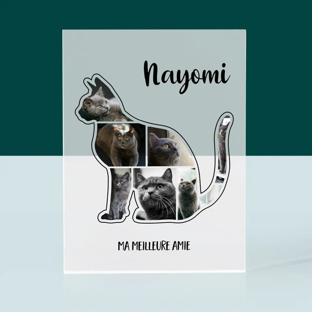 Forme Des Photos: Chat Le Meilleur Ami - Bloc Acrylique 