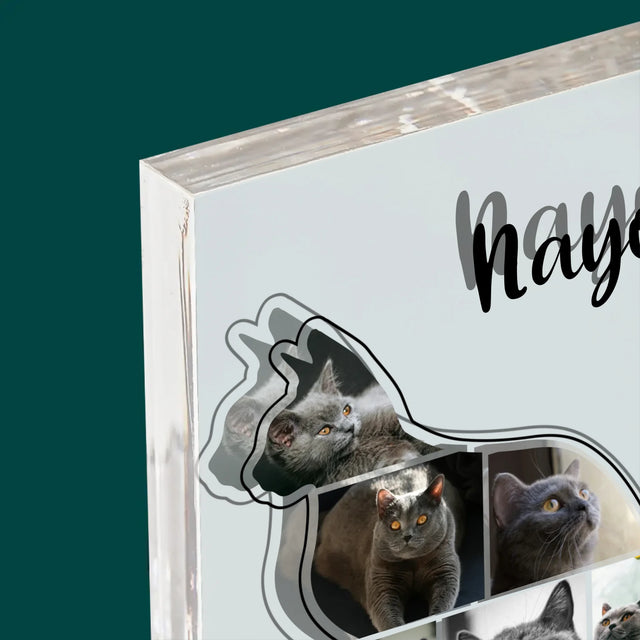 Forme Des Photos: Chat Le Meilleur Ami - Bloc Acrylique 