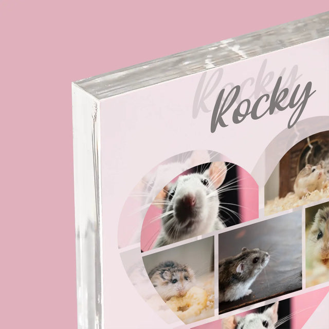 Le Collage Photo: Hamster - Bloc Acrylique 