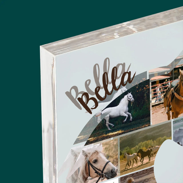 Forme Des Photos: Cheval - Bloc Acrylique 