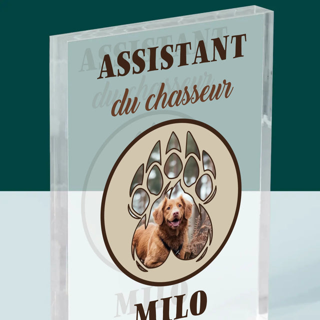 Forme Des Photos: Assistant Du Chasseur - Bloc Acrylique 