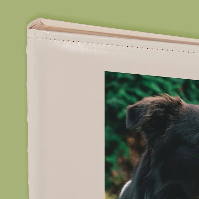 La Photo Et Un Texte: Animal, Définition - Album De Photos