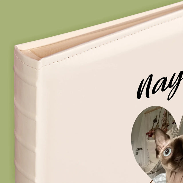 La Photo Et Un Texte: Chat Métrique - Album De Photos