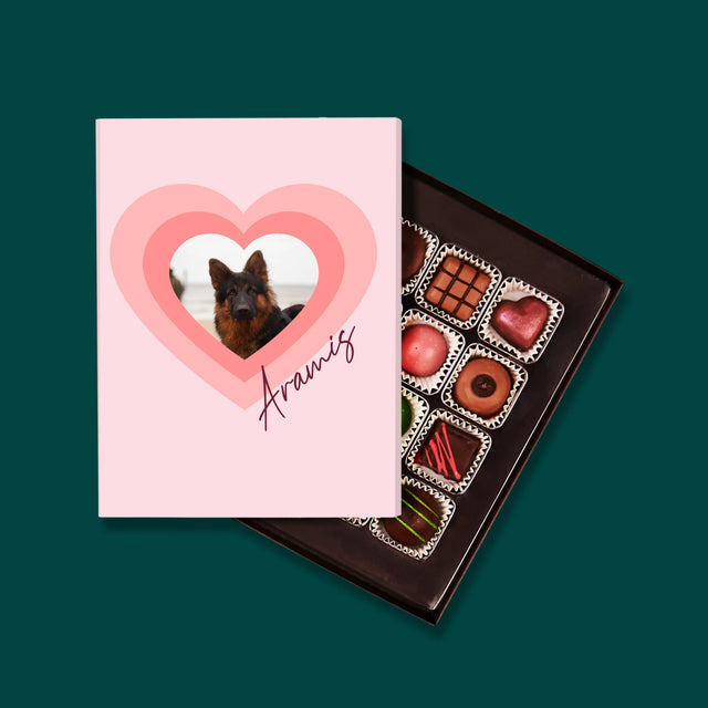 La Photo Et Un Texte: Photo De L'Animal Dans Le Cœur  - Pralines