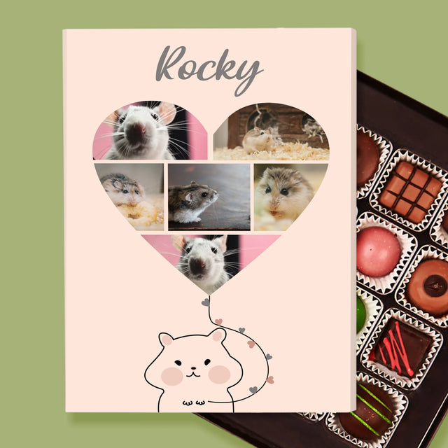 Le Collage Photo: Hamster - Pralines