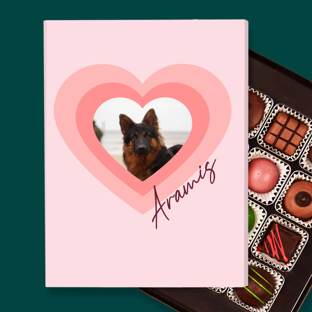 La Photo Et Un Texte: Photo De L'Animal Dans Le Cœur  - Pralines