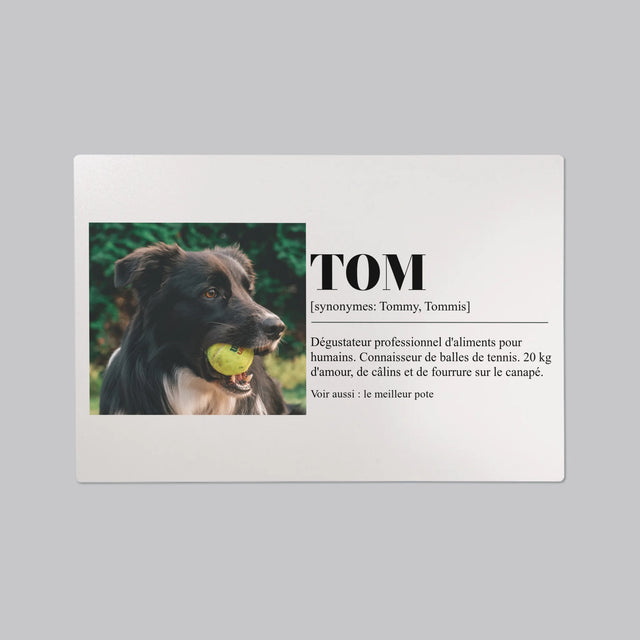 La Photo Et Un Texte: Animal, Définition - Sous-Main Bureau