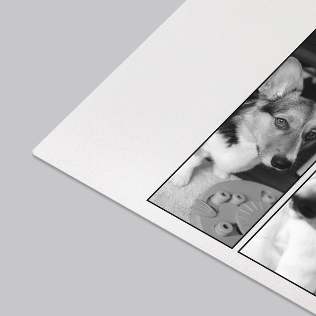 Le Collage Photo: Un Classique Bootleg Avec Un Animal - Sous-Main Bureau