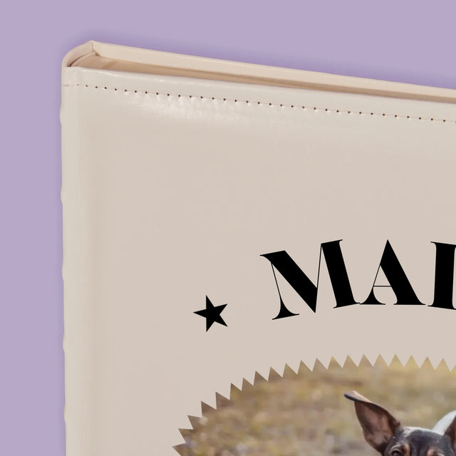 La Photo Et Un Texte: Chien Established - Album De Photos