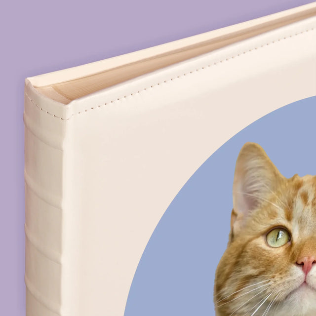 Photo: Ton Chat - Album De Photos