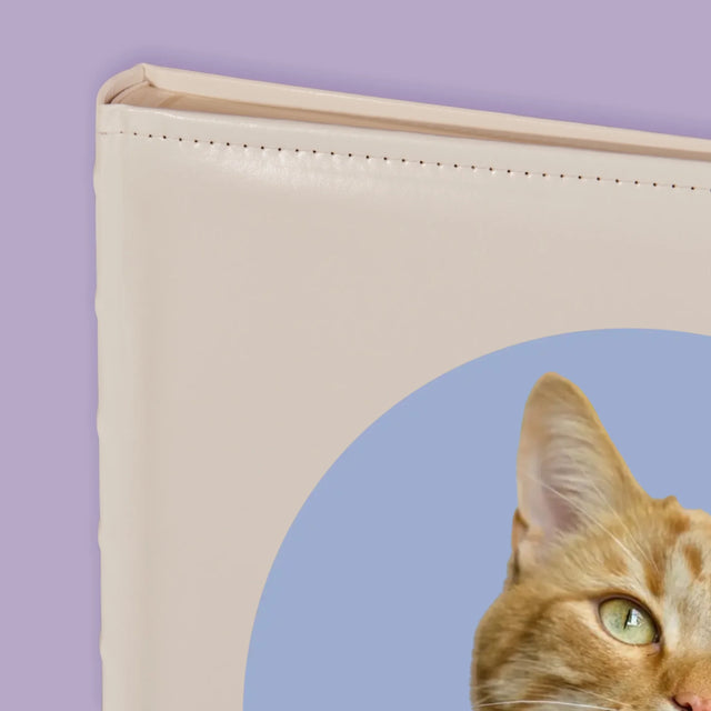 Photo: Ton Chat - Album De Photos