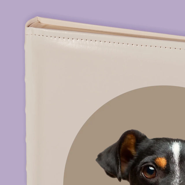 Photo: Ton Chien - Album De Photos