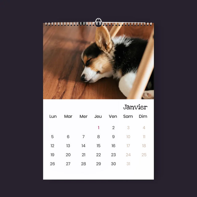 La Photo Et Un Texte: Animal De Compagnie Bien-Aimé - Calendrier Mural