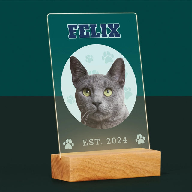 Ton Personnage: Ton Chat Varsity - Impression Sur Verre Acrylique 