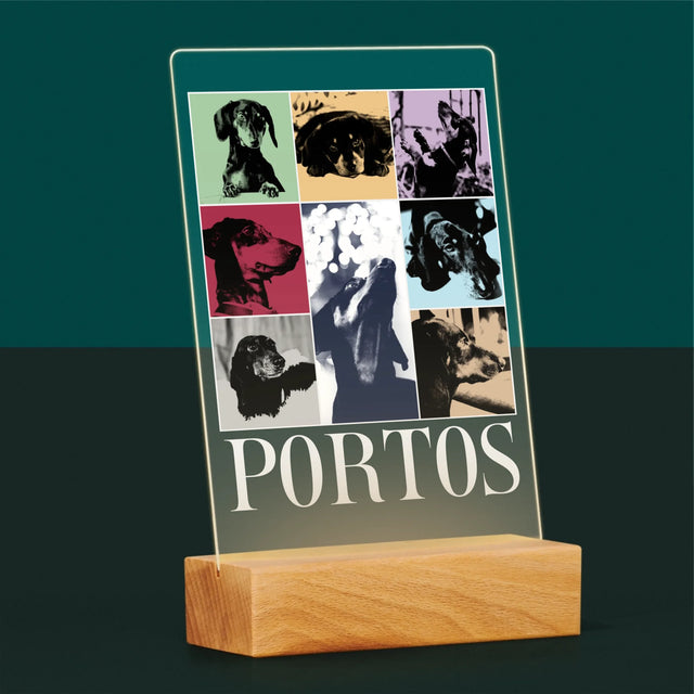 Le Collage Photo: L'Animal Comme Taylor - Impression Sur Verre Acrylique 