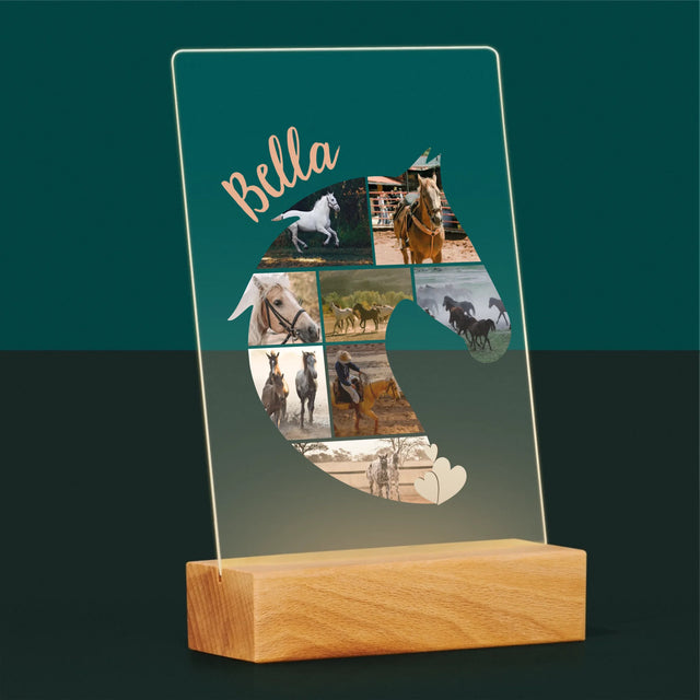 Forme Des Photos: Cheval - Impression Sur Verre Acrylique 
