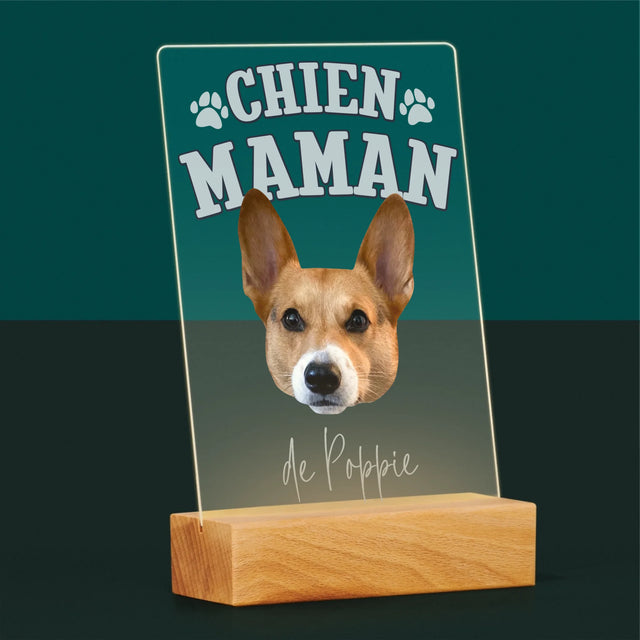 Ton Personnage: Chien Maman - Impression Sur Verre Acrylique 