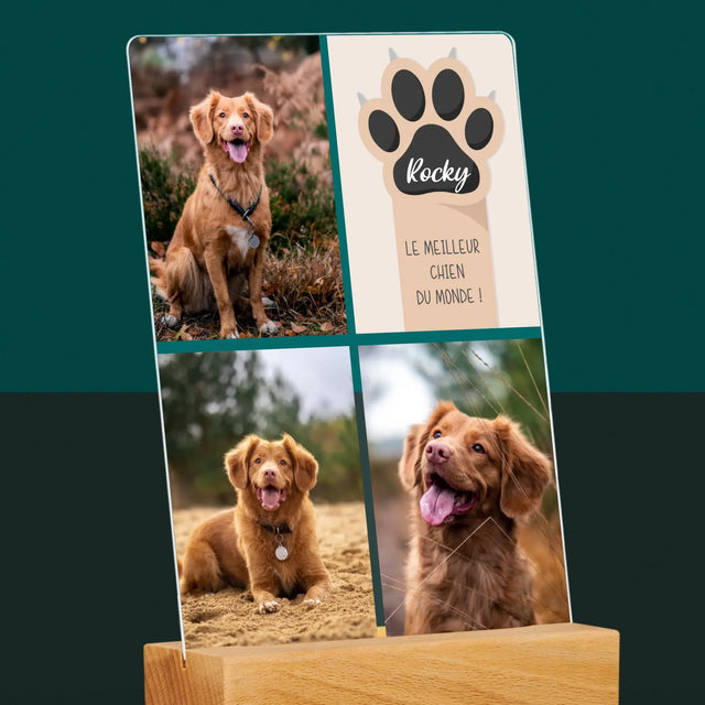 Collage Photo: Le Meilleur Chien - Impression Sur Verre Acrylique