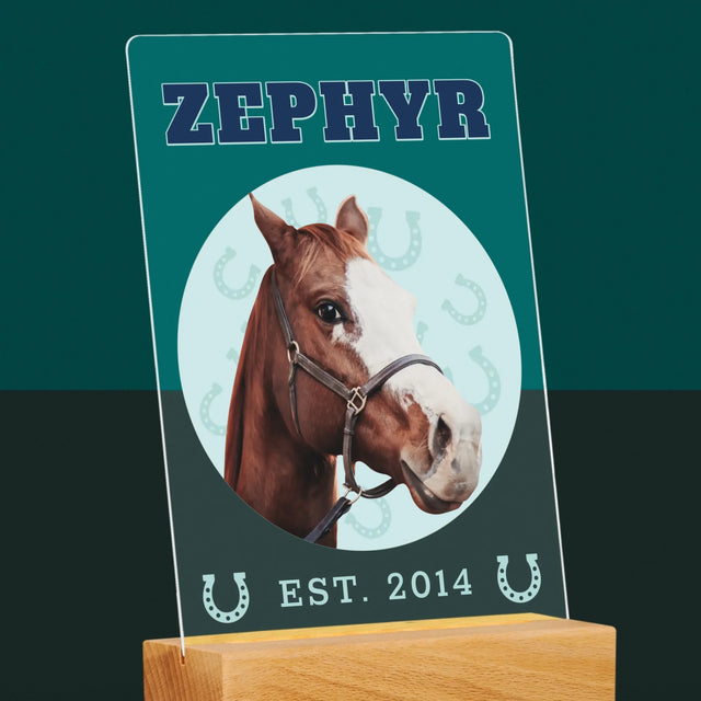 Ton Personnage: Ton Cheval Varsity - Impression Sur Verre Acrylique 