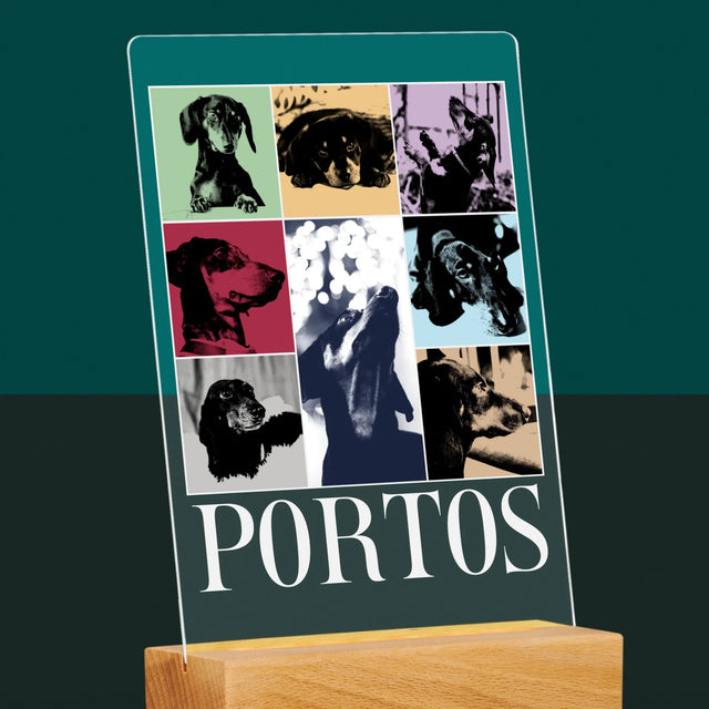 Le Collage Photo: L'Animal Comme Taylor - Impression Sur Verre Acrylique 