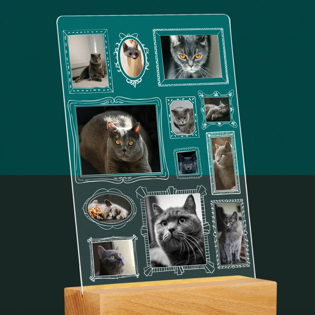 Le Collage Photo: Un Mur D'Exposition Avec Un Animal - Impression Sur Verre Acrylique 