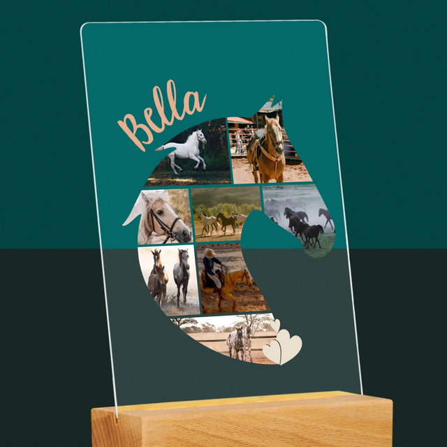 Forme Des Photos: Cheval - Impression Sur Verre Acrylique 