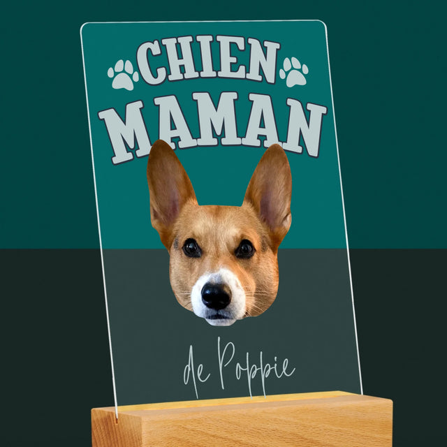 Ton Personnage: Chien Maman - Impression Sur Verre Acrylique 