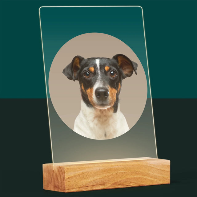 Photo: Ton Chien - Impression Sur Verre Acrylique