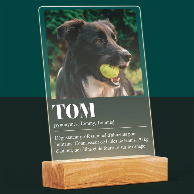 La Photo Et Un Texte: Animal, Définition - Impression Sur Verre Acrylique 