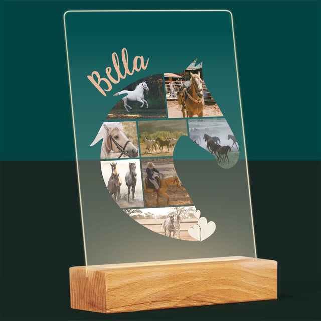 Forme Des Photos: Cheval - Impression Sur Verre Acrylique 