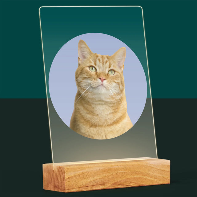 Photo: Ton Chat - Impression Sur Verre Acrylique