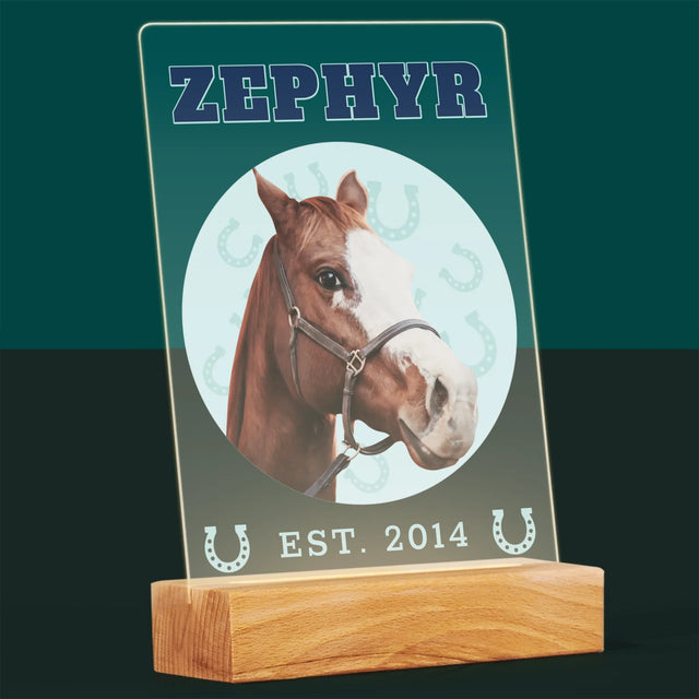 Ton Personnage: Ton Cheval Varsity - Impression Sur Verre Acrylique 