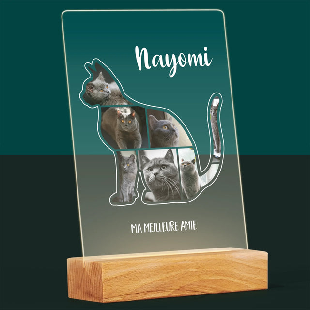 Forme Des Photos: Chat Le Meilleur Ami - Impression Sur Verre Acrylique 