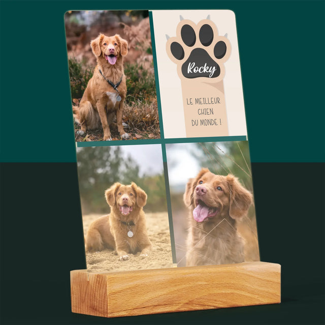 Collage Photo: Le Meilleur Chien - Impression Sur Verre Acrylique