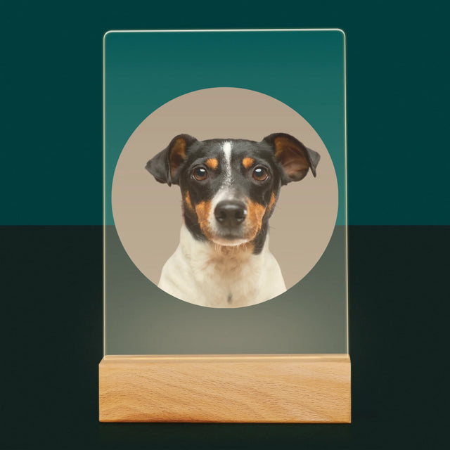 Photo: Ton Chien - Impression Sur Verre Acrylique