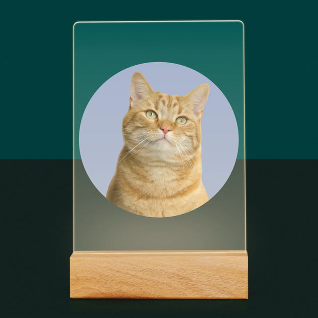 Photo: Ton Chat - Impression Sur Verre Acrylique