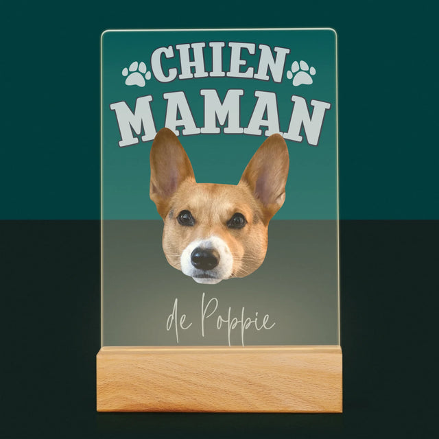Ton Personnage: Chien Maman - Impression Sur Verre Acrylique 