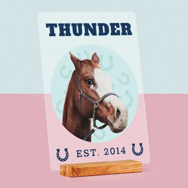 Votre Personnage : Votre Cheval Varsity - Impression sur Verre Acrylique | DE