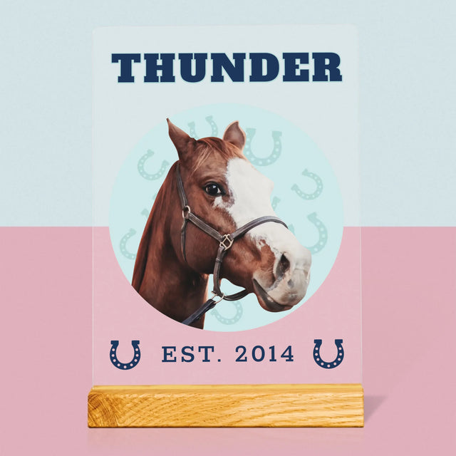 Votre Personnage : Votre Cheval Varsity - Impression sur Verre Acrylique | DE