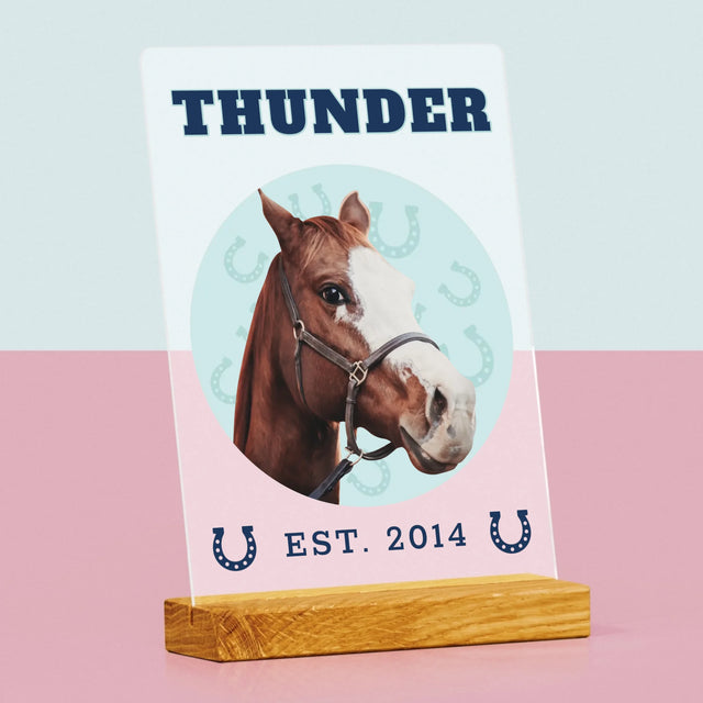 Votre Personnage : Votre Cheval Varsity - Impression sur Verre Acrylique | DE