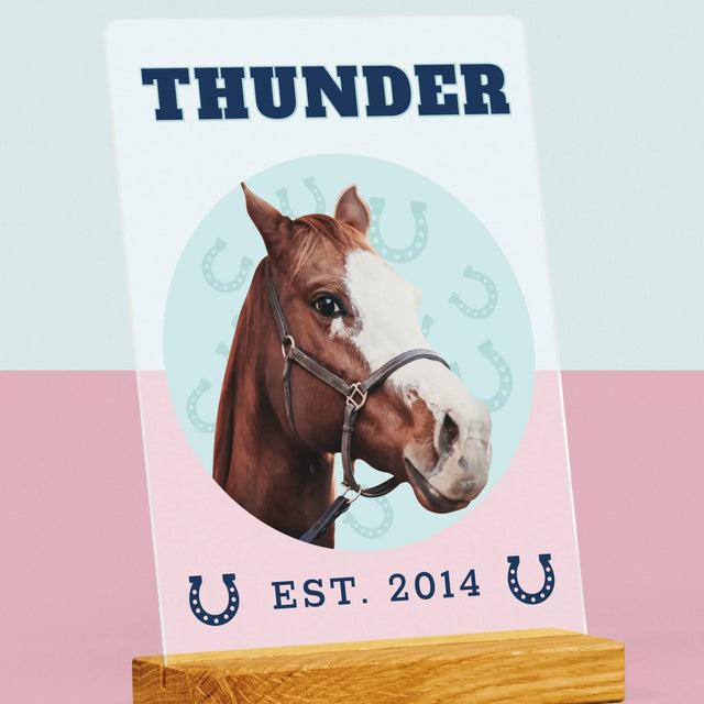 Votre Personnage : Votre Cheval Varsity - Impression sur Verre Acrylique | DE