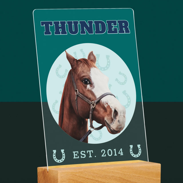 Votre Personnage : Votre Cheval Varsity - Impression sur Verre Acrylique | DE