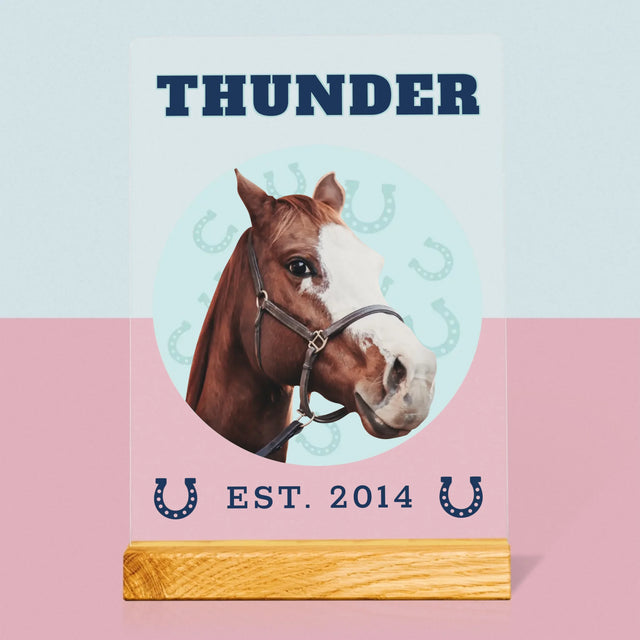 Votre Personnage : Votre Cheval Varsity - Impression sur Verre Acrylique | DE