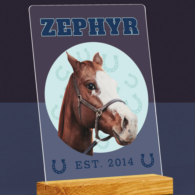 Ton Personnage: Ton Cheval Varsity - Impression Sur Verre Acrylique 