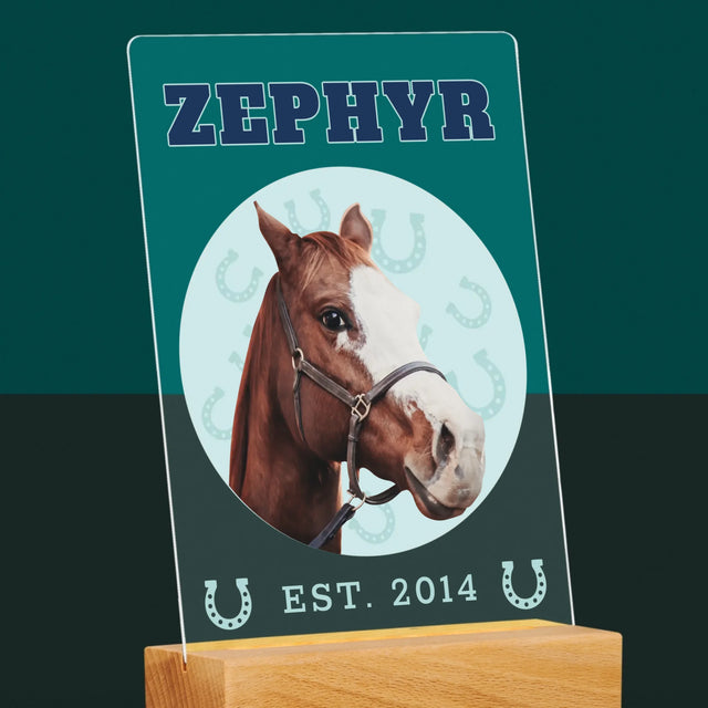 Ton Personnage: Ton Cheval Varsity - Impression Sur Verre Acrylique 
