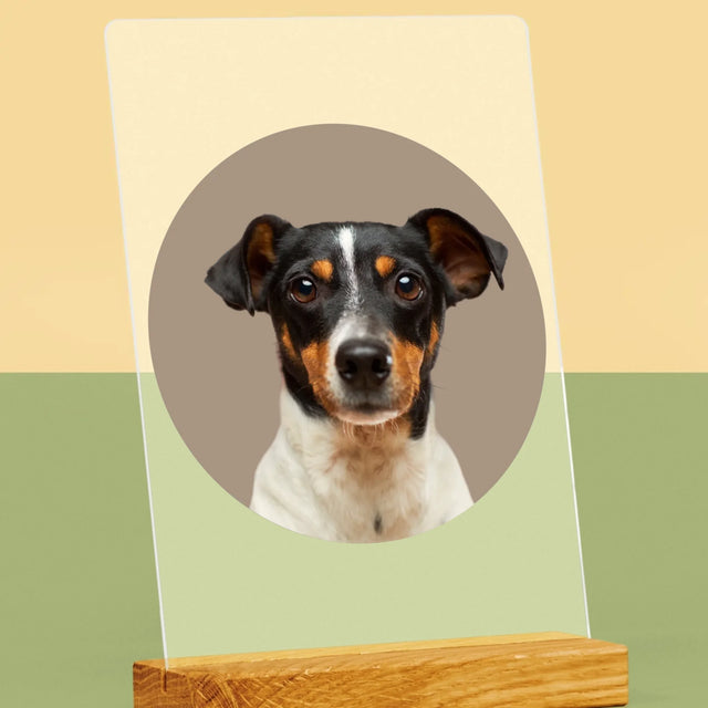 Photo: Ton Chien - Impression Sur Verre Acrylique