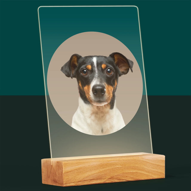 Photo: Ton Chien - Impression Sur Verre Acrylique