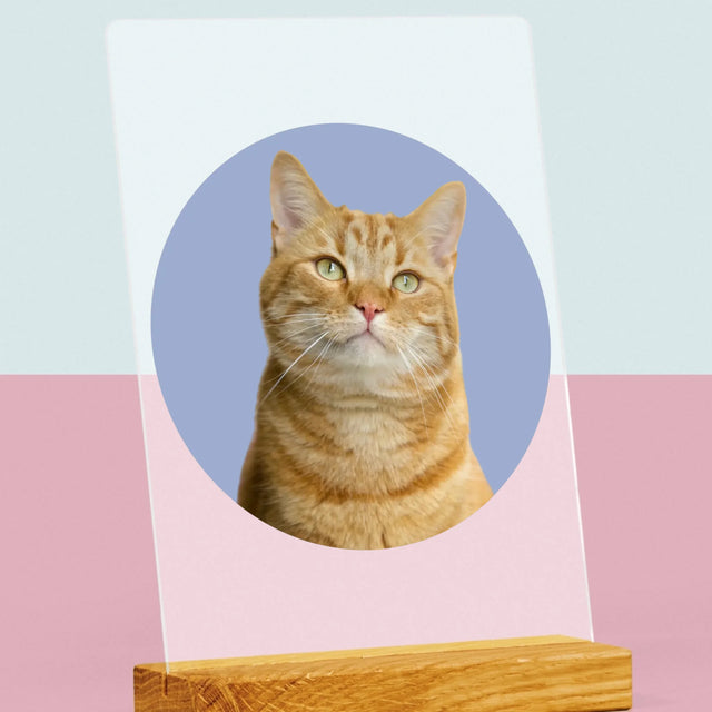 Photo: Ton Chat - Impression Sur Verre Acrylique